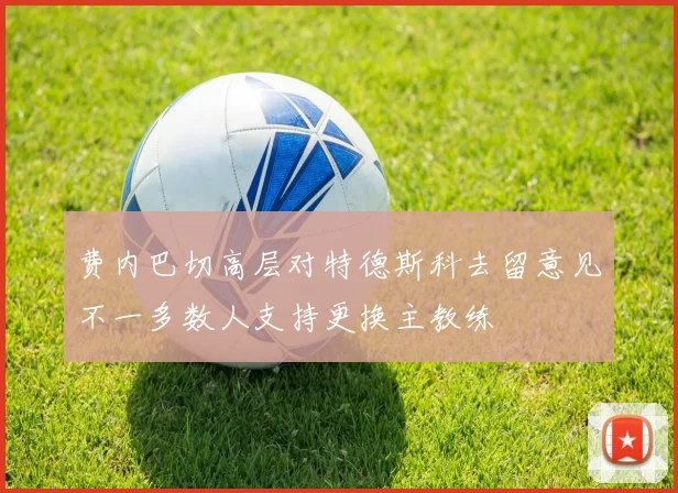费内巴切高层对特德斯科去留意见不一多数人支持更换主教练